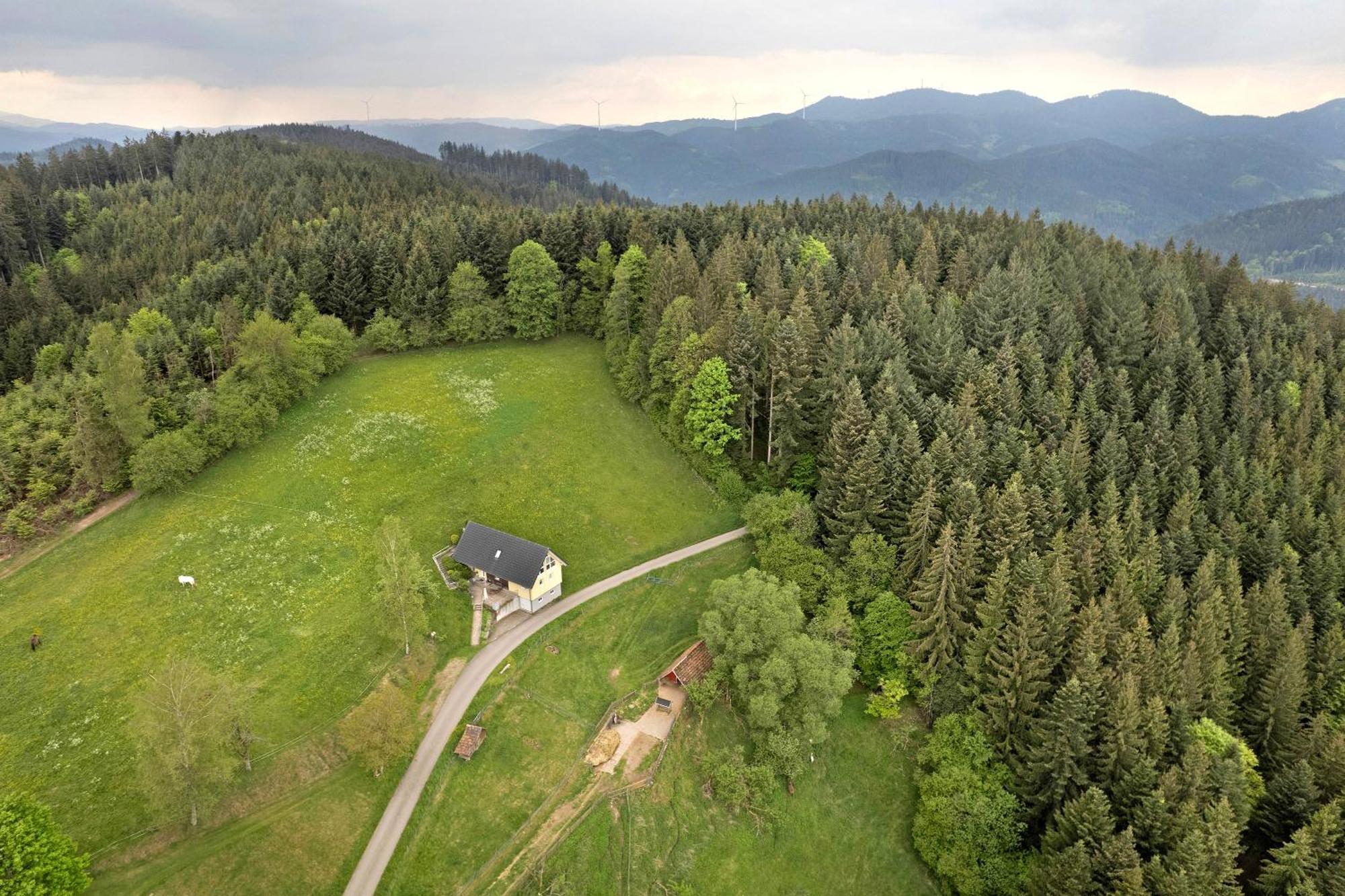 Landeckhof Villa Oberwolfach Exteriör bild